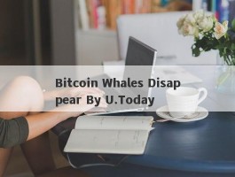 Bitcoin Whales Disappear By U.Today